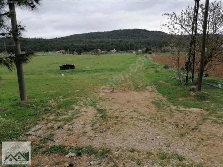 Çınar Gayrimenkul